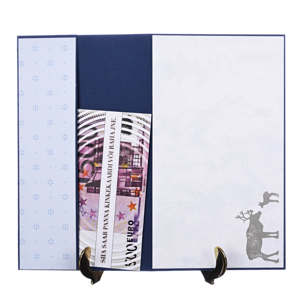 Põhjapõder lumisel lagendikul - Image 2